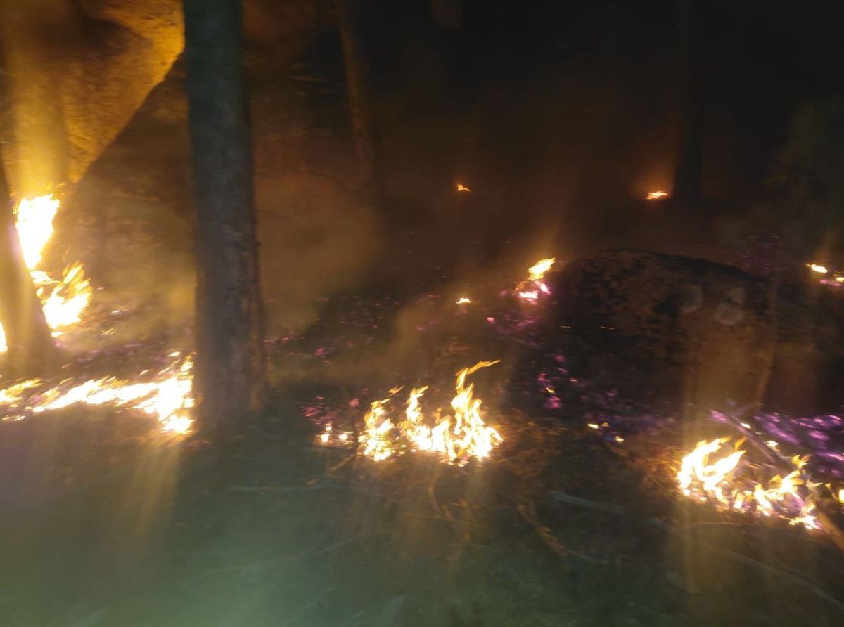 muglada orman yangini 0