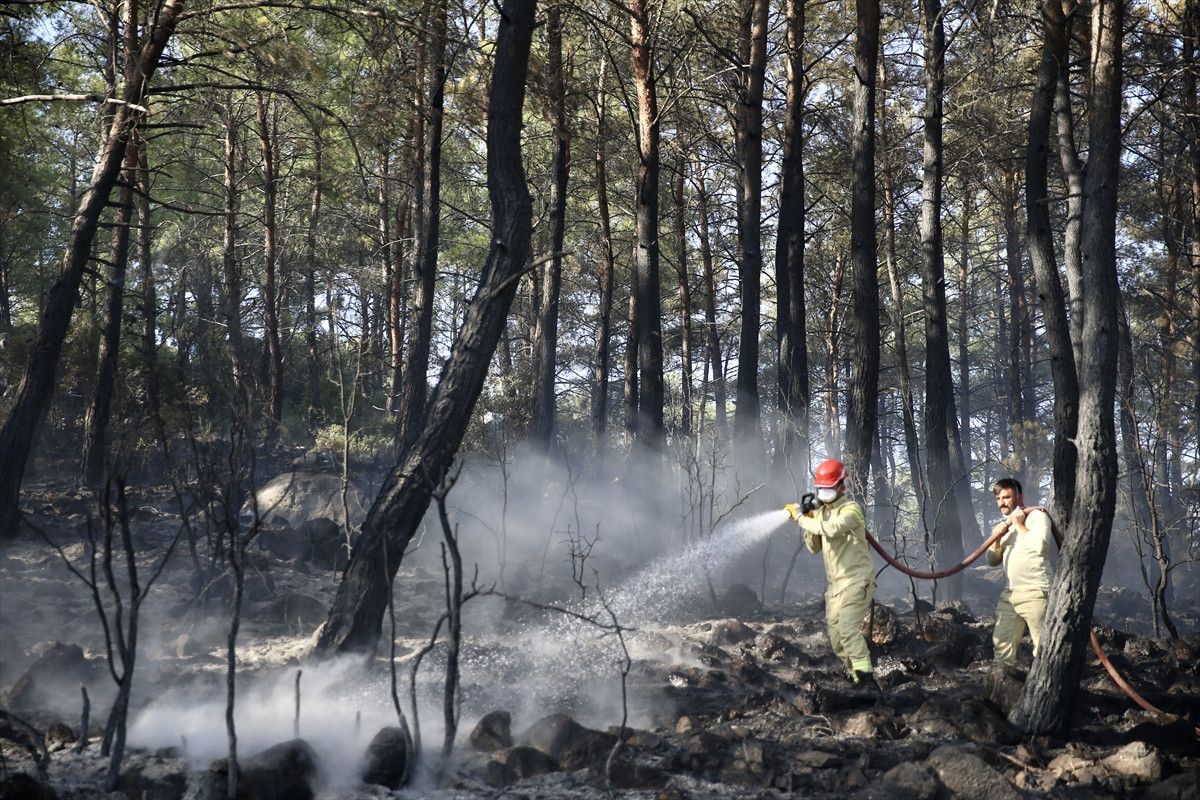 muglada orman yangini panigi kontrol altina alindi 0 ATWrsYW7