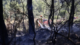 muglada orman yangini panigi kontrol altina alindi tCjqVF2X