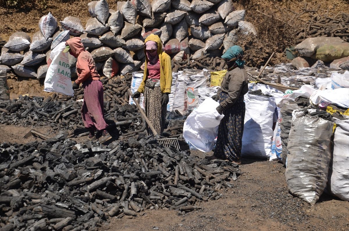 musta mangal komurunun alin teri yolculugu 14 D2RDWdyz