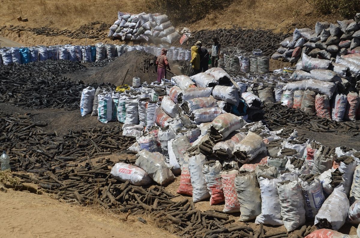 musta mangal komurunun alin teri yolculugu 6 EVy4RZ1X