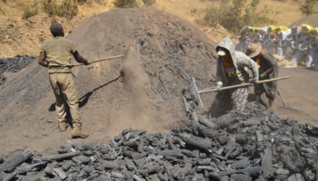 musta mangal komurunun alin teri yolculugu swJgwUt1