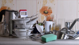 mutfak tezgahinda cop birakmak zehirlenmeye yol aciyor NYMOQuFq