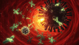 nadir gorulen bir genetik mutasyon bazi insanlari viral enfeksiyonlara karsi direncli hale getiriyor znawZEYJ