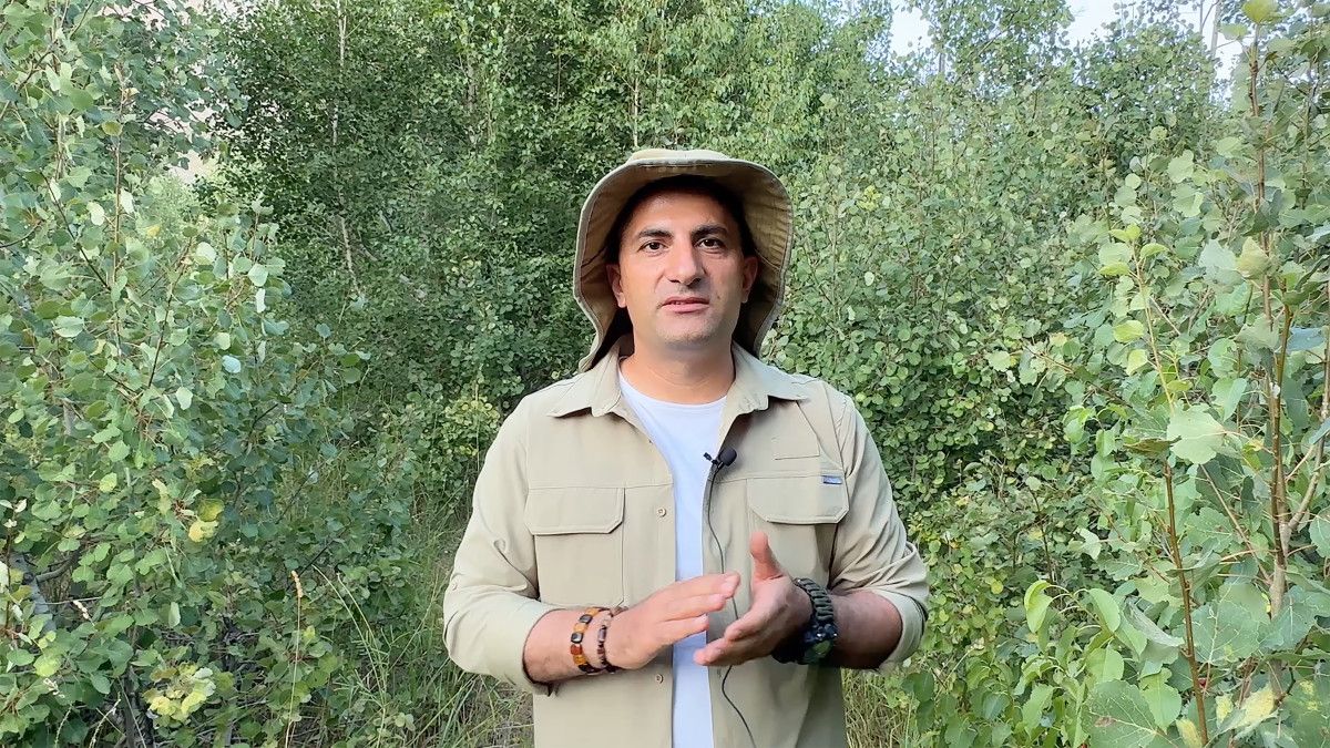 nemrut kalderasinda ayilar hem yuzdu hem piknikcilere misafir oldu 9