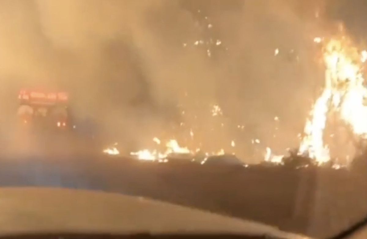 orman yanginlariyla mucadele suruyor canlari pahasina savasiyorlar 1 2fmsHhkL