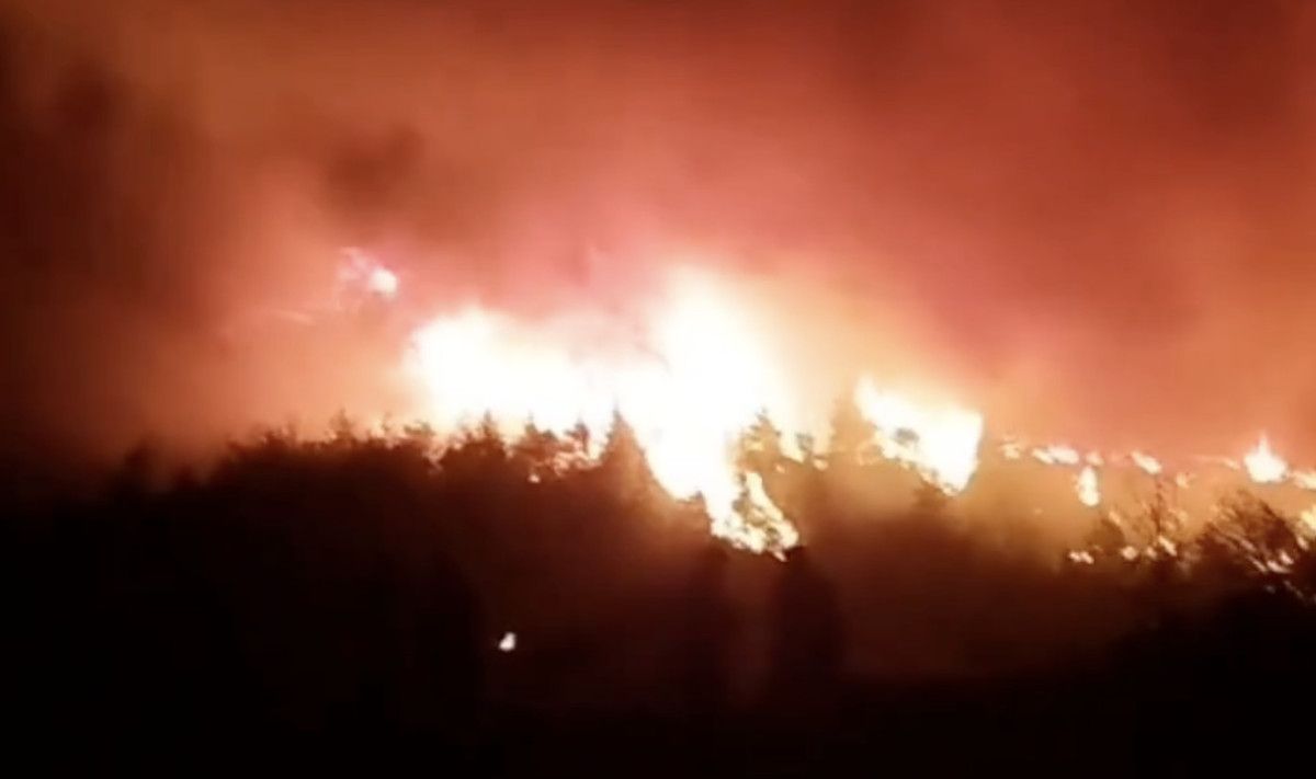 orman yanginlariyla mucadele suruyor canlari pahasina savasiyorlar 2 MCXZyN7d