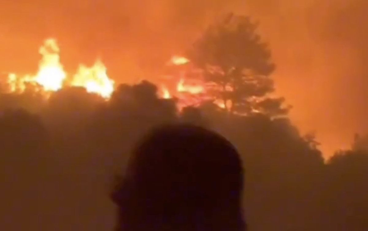 orman yanginlariyla mucadele suruyor canlari pahasina savasiyorlar 5 J7wk3uPf