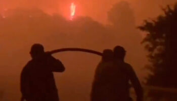 orman yanginlariyla mucadele suruyor canlari pahasina savasiyorlar 5jwT4GuX