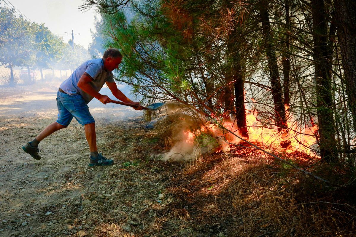 portekizde korkutan yangin olu sayisi 3e yukseldi 0 2wZlvpi2
