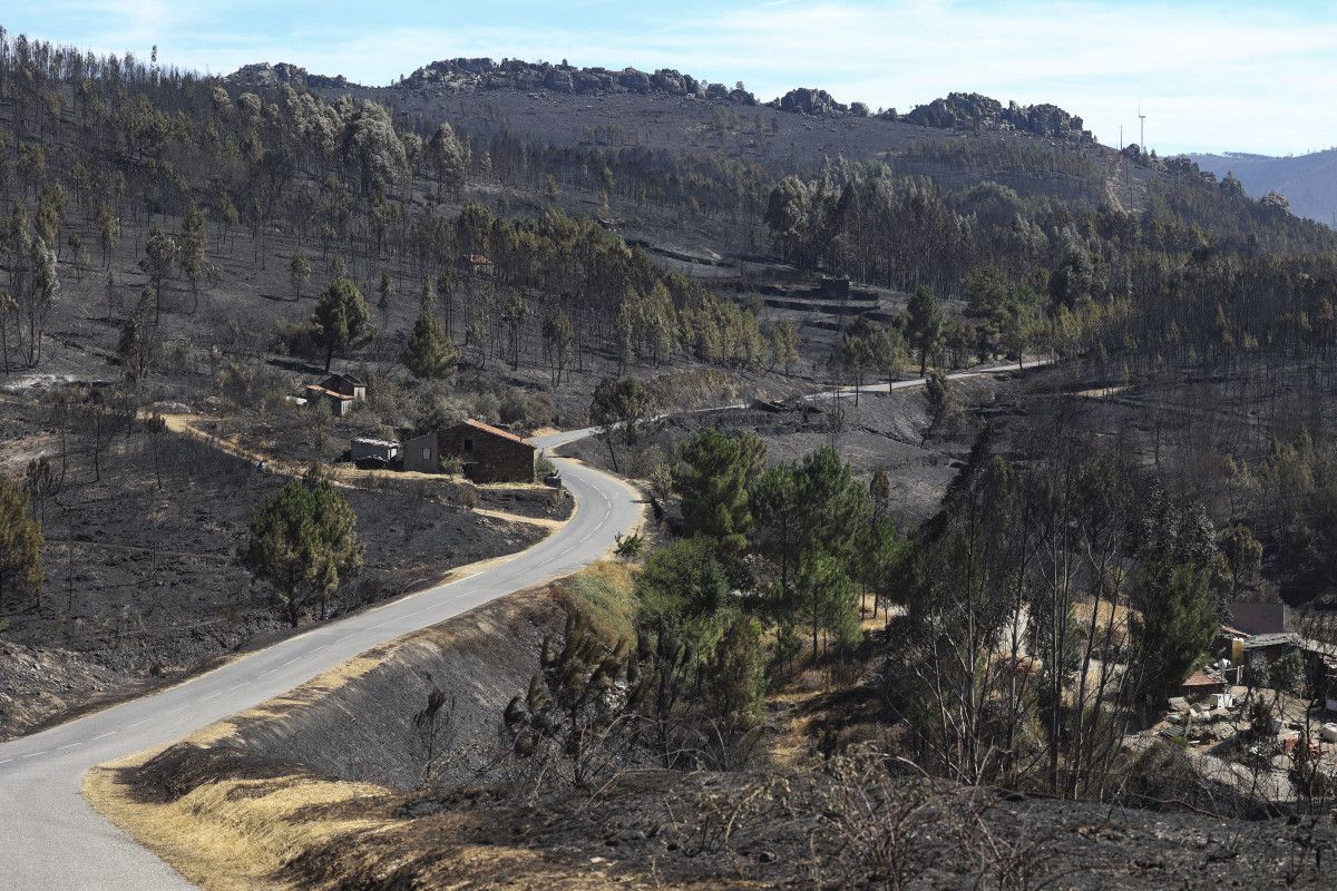 portekizde korkutan yangin olu sayisi 3e yukseldi 2 2IicF4IE