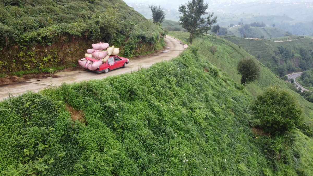 rizeliler cay tasimak icin yeni yontem gelistirdi 0 MhjqPeq3