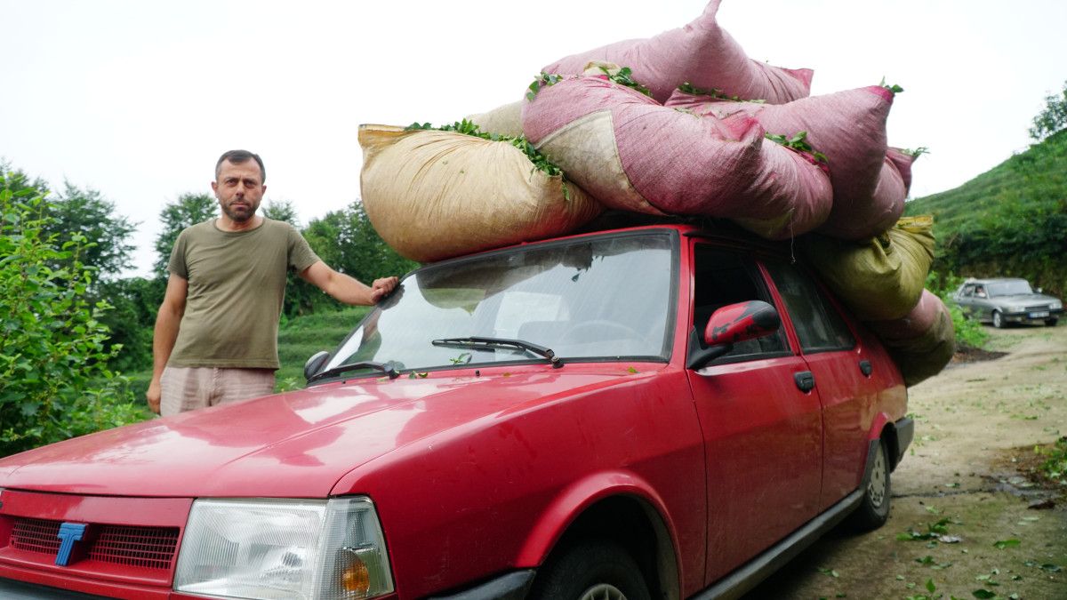 rizeliler cay tasimak icin yeni yontem gelistirdi 1 6Bfl7Itb