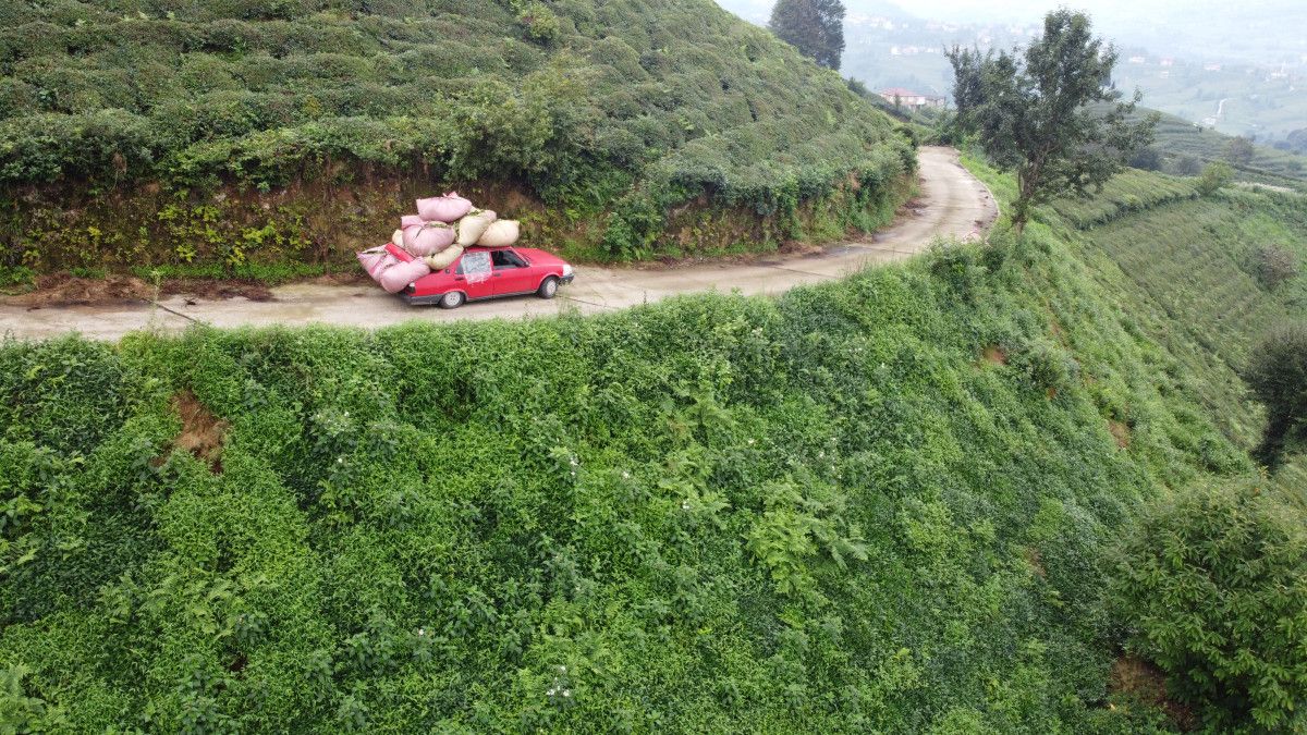 rizeliler cay tasimak icin yeni yontem gelistirdi 2 geudchv3