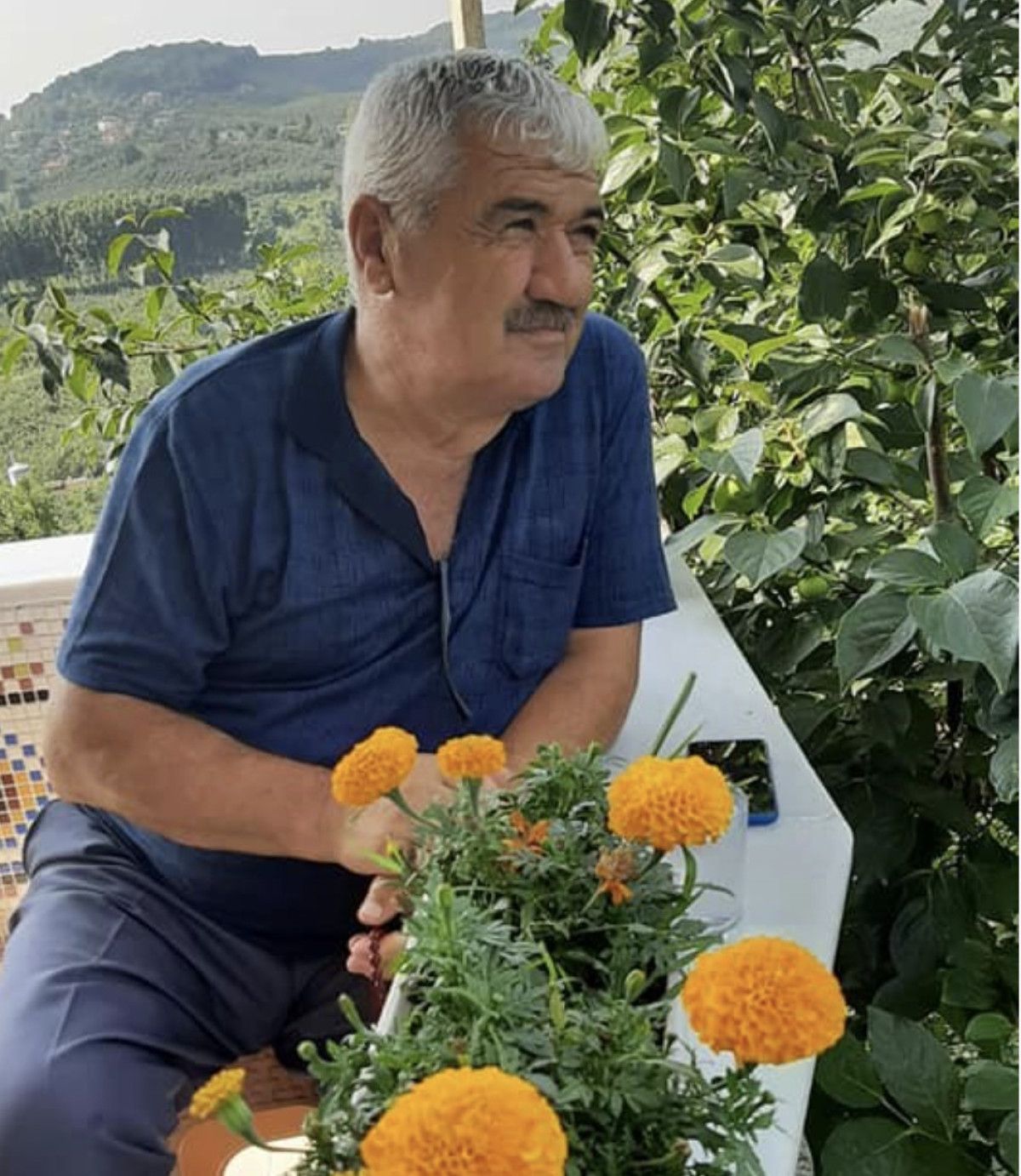 sakaryada ciktigi erik agacindan dusen adamdan aci haber 0 GSZQQE3K