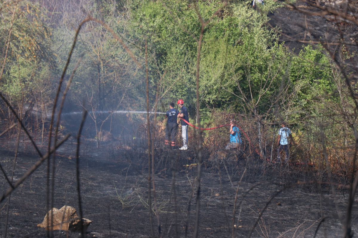 Sakarya'da otluk alanda yangın çıktı 2 sakaryada otluk alanda yangin cikti 1 FYLYpAZY