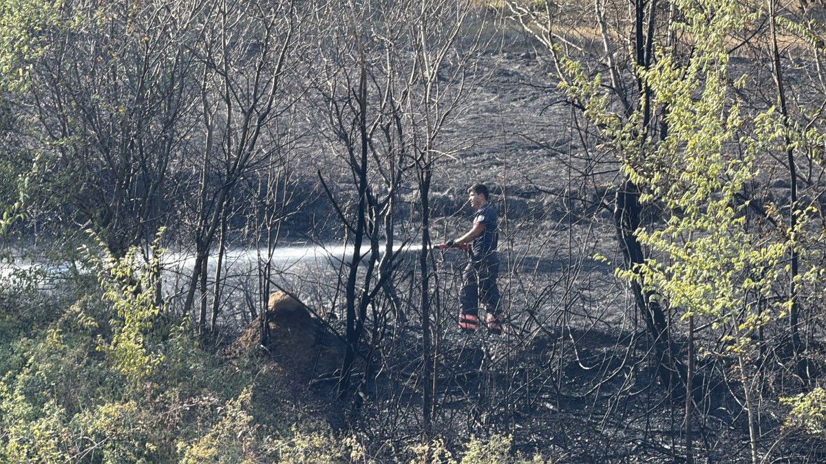 Sakarya'da otluk alanda yangın çıktı 3 sakaryada otluk alanda yangin cikti 2 tAeUjCQB