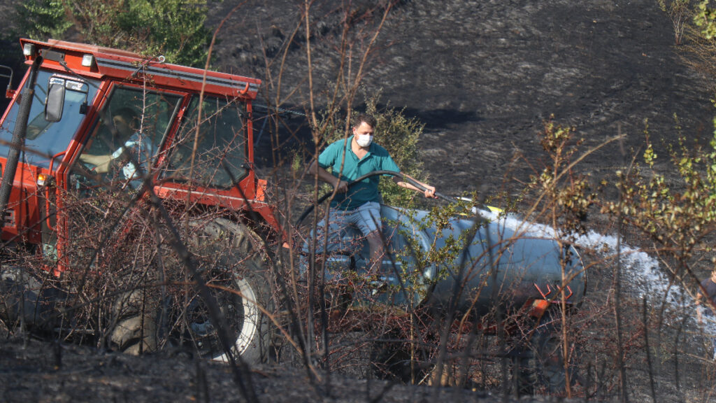 sakaryada otluk alanda yangin cikti JzQ4T753