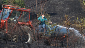 sakaryada otluk alanda yangin cikti JzQ4T753