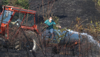 sakaryada otluk alanda yangin cikti JzQ4T753