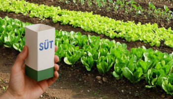 sakin cope atmayin sut kutularini geceden bahceye koyun o sorundan temelli kurtulun mA3brWOn