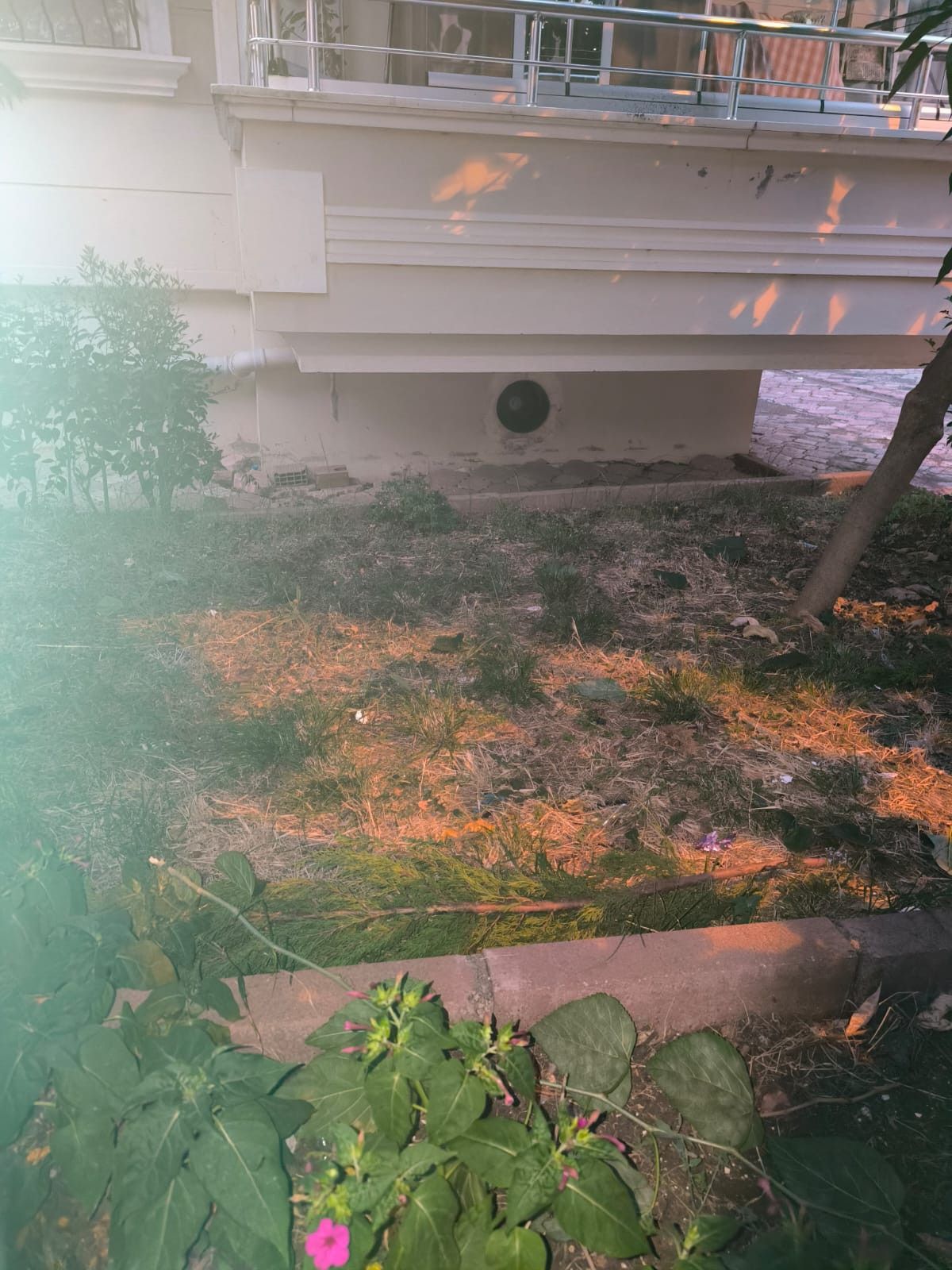 samsunda kedisini yakalamaya calisan cocuk 5 kattan dustu 0 6yGFqhqX