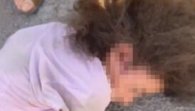 sanliurfada otomobilin carpip kactigi cocuk yasamini yitirdi neD8GC8u