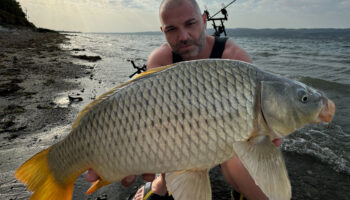 sapanca golunde 13 kiloluk sazan yakaladi iQ3rPluz
