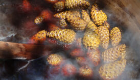 sigara icenlere sifa 7 saat kazanda pisiriliyor LKe2E5AW