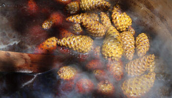 sigara icenlere sifa 7 saat kazanda pisiriliyor LKe2E5AW