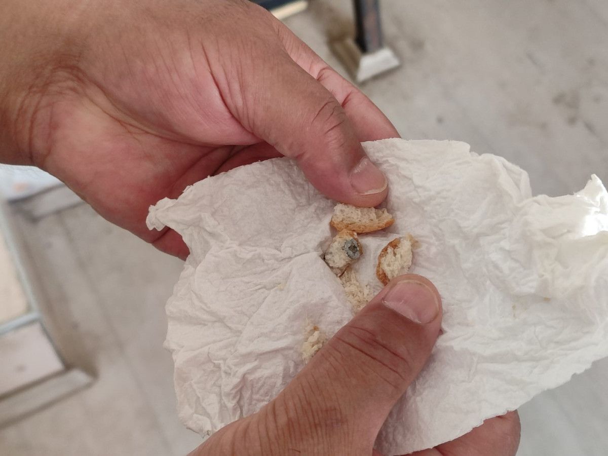 sinopta aldigi ekmekten vida cikti neredeyse disimi kiracakti 0 By4hGg46