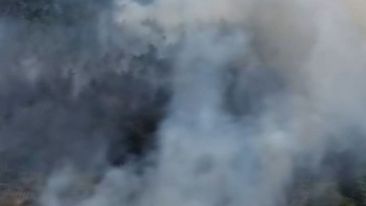 sinopta orman yangini panigi 0 669mQTzh