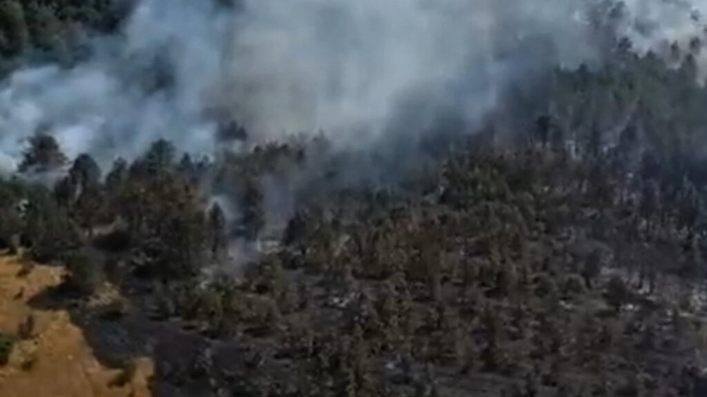 sinopta orman yangini panigi PtRCsjx6