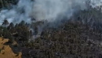 sinopta orman yangini panigi PtRCsjx6