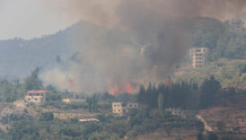 suriyede ormanlar alev alev yaniyor eviFBkmE