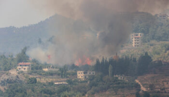 suriyede ormanlar alev alev yaniyor eviFBkmE