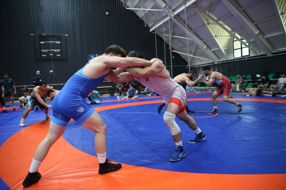 taha akgul gurese altin cagini yasatmak istiyor 0 K8bOvlE5