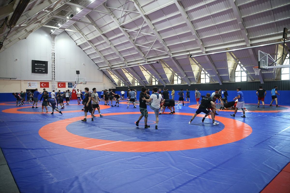 taha akgul gurese altin cagini yasatmak istiyor 1 bTdZbYy8