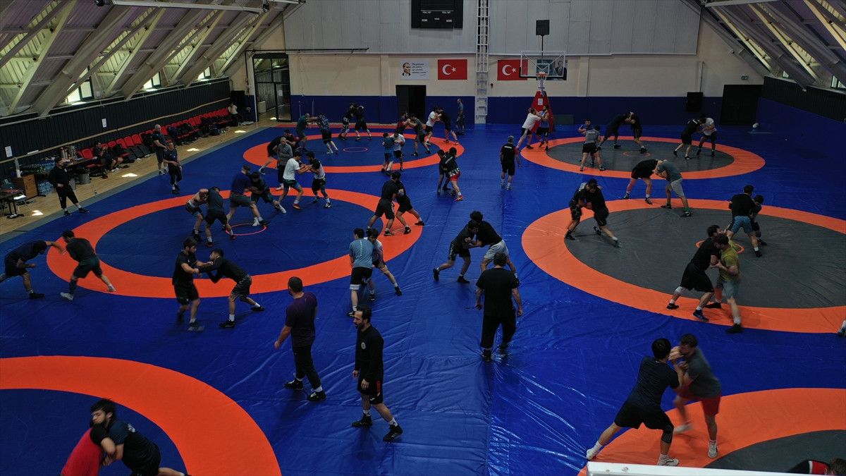 taha akgul gurese altin cagini yasatmak istiyor 2 fP8tf2F5