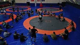 taha akgul gurese altin cagini yasatmak istiyor V71Fia39