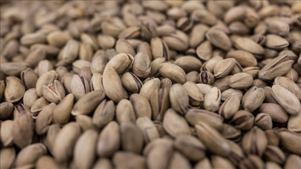 tarim ticaret ve hazine bakanliklari fistik sektoru denetlendi lY6G1fB9