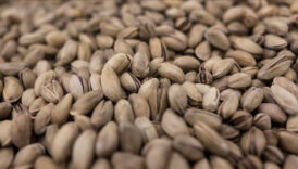 tarim ticaret ve hazine bakanliklari fistik sektoru denetlendi lY6G1fB9