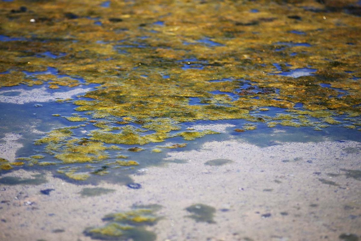 tarim ve orman bakanligi kuraklik riski altindaki 8 gol icin harekete gecti 5 p5JgRjLV