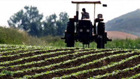 tarimsal girdiler artmaya devam etti DrKumjzi