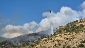 tekirdagda makilik alanda yangin cikti ekiplerin mudahalesi suruyor 7jhMMGrM