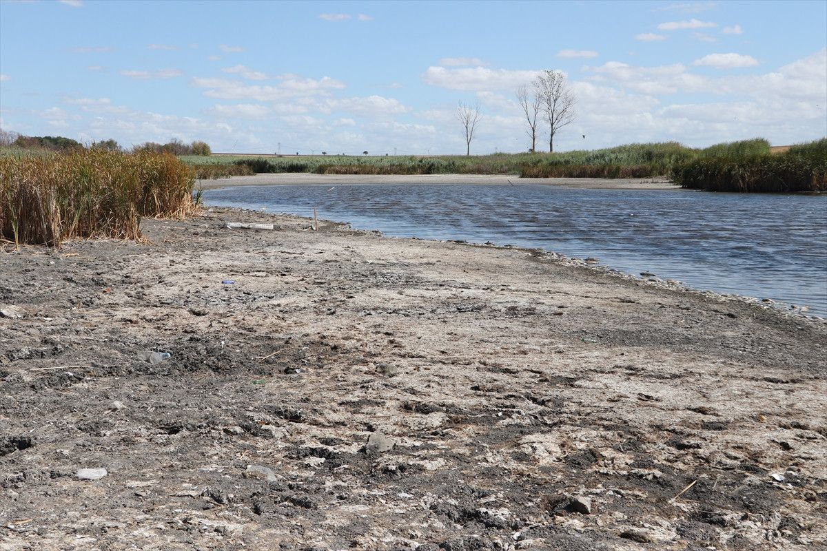 tekirdagda su seviyesi dusen golette baliklar telef oldu 1 uG4SHB6y