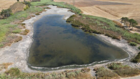 tekirdagda su seviyesi dusen golette baliklar telef oldu DvRWrJIx