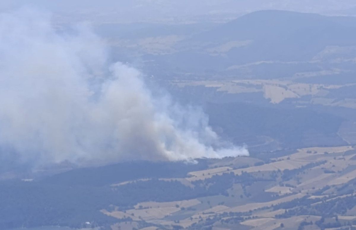 tokatta cikan orman yanginina mudahale devam ediyor 0 qB9ZpLyw