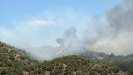 tokatta cikan orman yanginina mudahale devam ediyor aMyfl4JJ
