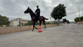 tokatta direksiyon sinavi heyecanini atla parkur gecerek yendi BJUbL9OC